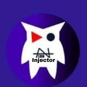 Nansee Injector