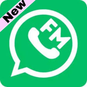 FM WhatsApp